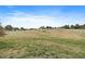 View of the property showcasing a large grassy area enclosed by a white fence at 3342 Quail Ridge Cir, Parker, CO 80138