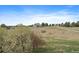 Expansive lot with mature trees and a white fence, offering privacy and scenic views at 3342 Quail Ridge Cir, Parker, CO 80138