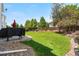 Well-maintained backyard with lush lawn, patio, wood fence, and mature trees for privacy and shade at 15353 E 98Th Pl, Commerce City, CO 80022