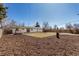 A spacious backyard with a freshly manicured lawn, mulch, and a wooden privacy fence at 6699 S Pennsylvania St, Centennial, CO 80121