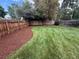 Spacious backyard with grass and mulch landscaping at 1420 S Leyden St, Denver, CO 80224