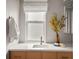 Bright bathroom with a modern sink, wooden cabinets, and a decorative plant adds a natural touch at 8140 S Storm King Peak, Littleton, CO 80127