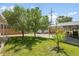 Expansive backyard with mature trees, showcasing a serene and inviting outdoor space at 4705 Upham St, Wheat Ridge, CO 80033