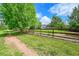 View of the backyard with a classic wood fence and a beautiful mature shade tree at 2205 Santa Fe Dr, Longmont, CO 80504
