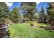 Spacious backyard perfect for entertaining, complete with trampoline and lush landscaping at 5170 Pinyon Jay Rd, Parker, CO 80134