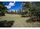 Large lot with meadow and mature pine trees at 5170 Pinyon Jay Rd, Parker, CO 80134