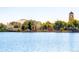 Scenic view of an amusement park with a wooden rollercoaster and tower over a serene lake at 4253 Hooker St, Denver, CO 80211