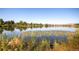Picturesque lake scene with lily pads and reflections of trees and landscape at 4253 Hooker St, Denver, CO 80211