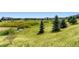 Expansive open space with walking trails, lush greenery and scenic views, providing a tranquil environment for outdoor activities at 3578 Tranquility Trl, Castle Rock, CO 80109