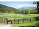 Horse stands near fence on the grassy pasture with trees and mountain in the background at 11652 Camp Eden Rd, Golden, CO 80403