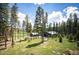 Picturesque backyard featuring lush green grass, mature trees, and several outbuildings under a bright blue sky at 11652 Camp Eden Rd, Golden, CO 80403