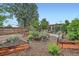 Backyard garden featuring raised garden beds and foliage at 6051 Ivanhoe St, Commerce City, CO 80022
