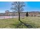 Community tennis court surrounded by lush greenery with mountain views, perfect for outdoor recreation at 9508 Elk Mountain Cir, Littleton, CO 80125