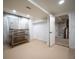 Basement room featuring new carpet, shelving, closet storage, and neutral paint at 16690 Amberstone Way, Parker, CO 80134