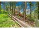 Wooded lot features mature trees, a fence, and a chicken coop at 14980 Elk Mountain Trl, Littleton, CO 80127