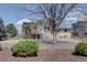 Charming home exterior with a deck, mature trees, and a lush green lawn at 7890 W 43Rd Pl, Wheat Ridge, CO 80033