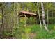 Gazebo with a red roof, nestled in a lush green forest, offering a peaceful retreat at 245 N County Highway 67, Sedalia, CO 80135