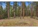 A stunning landscape with lush greenery and majestic trees, creating a natural and tranquil setting at 245 N County Highway 67, Sedalia, CO 80135