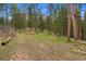 A scenic landscape with lush greenery and majestic trees, creating a natural and tranquil setting at 245 N County Highway 67, Sedalia, CO 80135