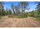 A tranquil landscape with a natural terrain and beautiful blue skies at 245 N County Highway 67, Sedalia, CO 80135