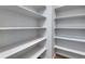 Walk-in pantry with multiple levels of shelving, perfect for storage at 13531 E 99Th Pl, Commerce City, CO 80022