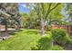 Spacious backyard with lush green lawn, mature trees, and a wood fence at 6338 S Oneida Ct, Centennial, CO 80111