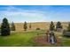 Vast backyard with play structure and trampoline, surrounded by a beautiful lush green yard at 5861 E Valley Hi Dr, Parker, CO 80138