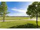 Expansive green space with lush lawn, trees, a walking path and mountain views at 5831 W 108Th Pl, Westminster, CO 80020