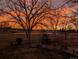 Beautiful dusk backyard with a pond at 4133 Niblick Dr, Longmont, CO 80503