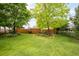 Expansive backyard with mature trees, lush green lawn, and wooden fence at 3317 Harlan St, Wheat Ridge, CO 80033