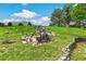 Picturesque backyard waterfall and stone retaining wall surrounded by lush greenery at 1927 Sunset Cir, Evergreen, CO 80439