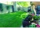 Lush backyard with vibrant plants and flowers, offering a serene and inviting outdoor space for relaxation and gardening at 832 S Gilpin St, Denver, CO 80209