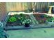Garden beds, various flowers, and manicured shrubs, adding to the property's charm at 832 S Gilpin St, Denver, CO 80209