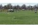 Expansive grassy field perfect for outdoor recreation and community events on a sunny day at 832 S Gilpin St, Denver, CO 80209