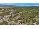 Aerial view of houses nestled among the trees at 17575 Minglewood Trl, Monument, CO 80132