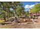 Landscaped backyard with multiple trees, plants, and outdoor decor at 17575 Minglewood Trl, Monument, CO 80132