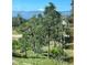 Scenic view of lush trees and distant mountains, creating a serene and picturesque backdrop at 17575 Minglewood Trl, Monument, CO 80132