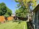 Lush backyard with manicured lawn, privacy fence, and mature trees for a serene outdoor space at 10553 Adams St, Northglenn, CO 80233