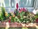 A charming flower bed with a variety of colorful flowers nestled beside the home's foundation at 10553 Adams St, Northglenn, CO 80233