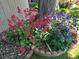 Beautifully landscaped flower bed with vibrant red and purple flowers surrounding the base of a tree at 10553 Adams St, Northglenn, CO 80233