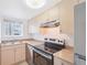 Efficient kitchen features stainless steel appliances and ample cabinet space at 250 N Pearl St # 310, Denver, CO 80203