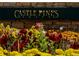 The prestigious Castle Pines North community sign is framed by colorful flowers at 8114 Briar Ridge Dr, Castle Pines, CO 80108