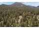 Panoramic view of wooded property from an aerial perspective, showcasing mountain vistas at 649 Cottonwood Dr, Evergreen, CO 80439