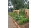Charming garden with lush greenery, raised beds, and a sturdy fence, ideal for cultivating your own produce at 13695 W 67Th Cir, Arvada, CO 80004