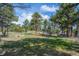 Expansive backyard with grass area, wood piles, and natural surroundings at 25392 Westridge Rd, Golden, CO 80403