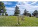 Verdant, grassy yard scattered with tall pines and clear blue skies on the horizon at 25392 Westridge Rd, Golden, CO 80403