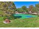 Outdoor basketball court surrounded by mature trees in a grassy area, offering a great space for recreation and exercise at 6590 S Tabor St, Littleton, CO 80127