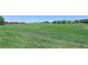 Vast, green field ideal for recreation, sports, and outdoor enjoyment at 19249 E Progress Ave, Centennial, CO 80015