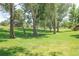 Expansive green yard with mature trees adding shade and privacy, enhancing the property's appeal at 19249 E Progress Ave, Centennial, CO 80015