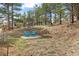 A tranquil backyard with a seating area and Adirondack chairs, offering a private outdoor retreat at 30313 Arena Dr, Evergreen, CO 80439